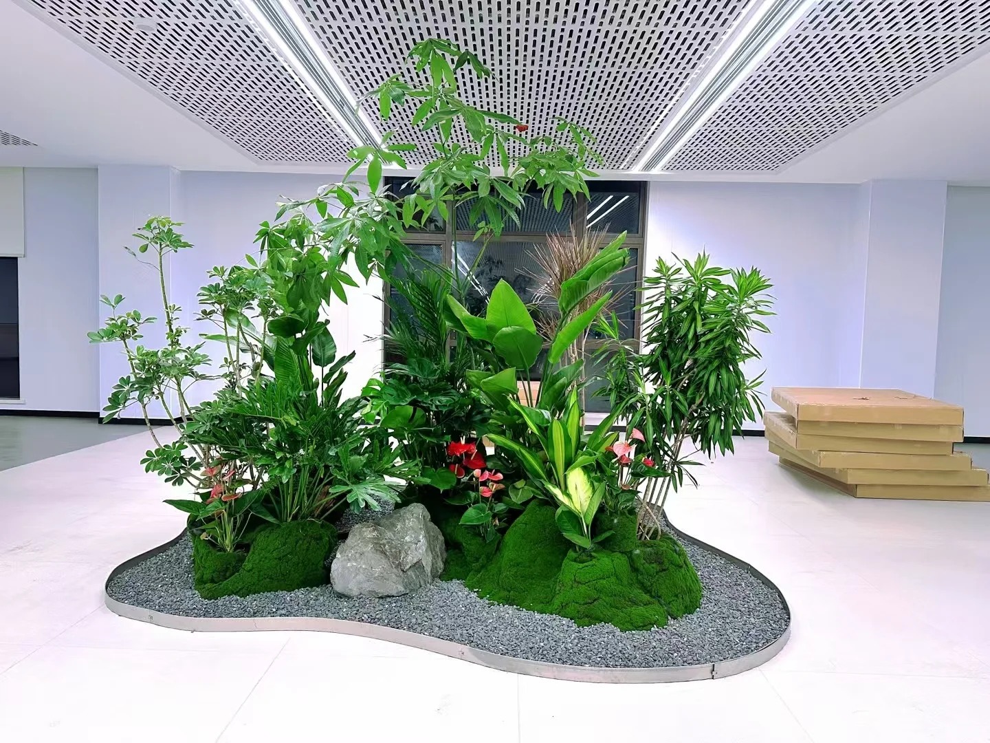 专业植物租赁,助力宁波海曙打造清新天地